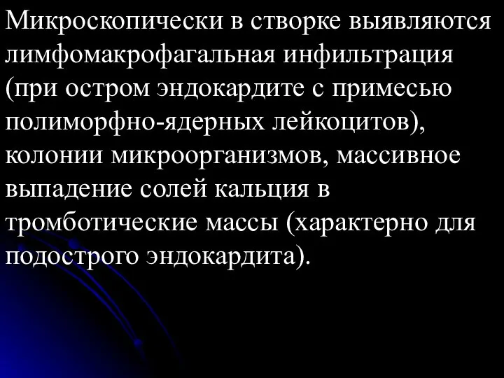 Микроскопически в створке выявляются лимфомакрофагальная инфильтрация (при остром эндокардите с примесью