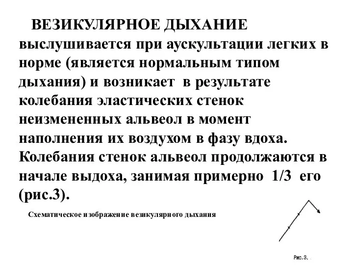 ВЕЗИКУЛЯРНОЕ ДЫХАНИЕ выслушивается при аускультации легких в норме (является нормальным типом