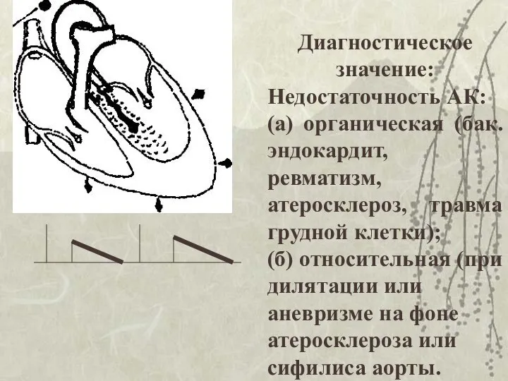 Диагностическое значение: Недостаточность АК: (а) органическая (бак. эндокардит, ревматизм, атеросклероз, травма