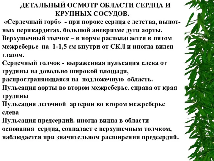 ДЕТАЛЬНЫЙ ОСМОТР ОБЛАСТИ СЕРДЦА И КРУПНЫХ СОСУДОВ. «Сердечный горб» - при