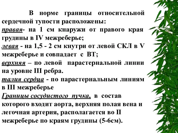 В норме границы относительной сердечной тупости расположены: правая- на 1 см