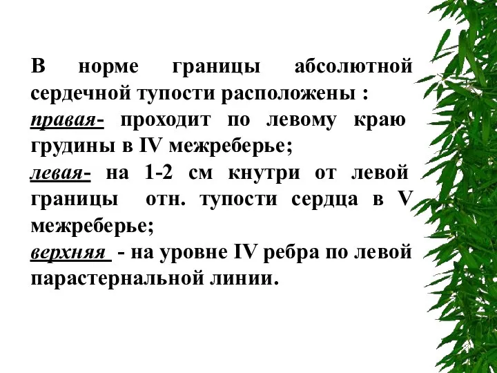 В норме границы абсолютной сердечной тупости расположены : правая- проходит по