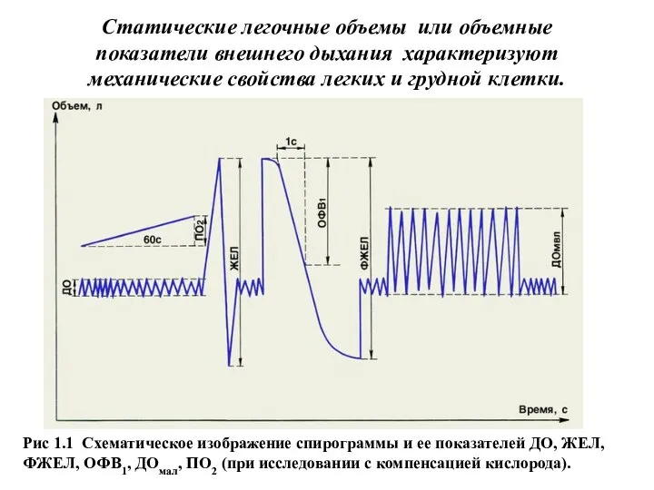 Статические легочные объемы или объемные показатели внешнего дыхания характеризуют механические свойства