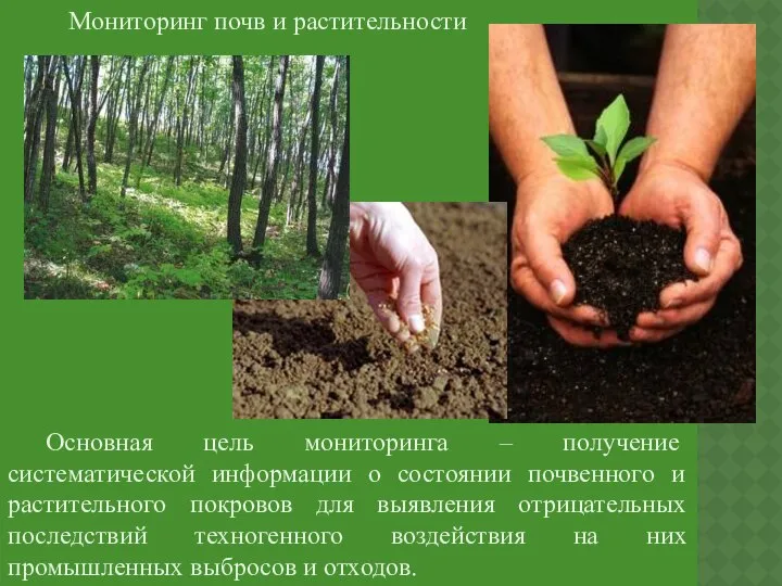 Мониторинг почв и растительности Основная цель мониторинга – получение систематической информации