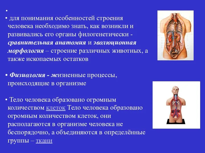 для понимания особенностей строения человека необходимо знать, как возникли и развивались