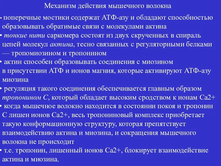 поперечные мостики содержат АТФ-азу и обладают способностью образовывать обратимые связи с