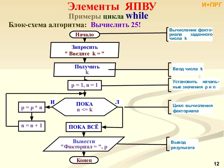 Примеры цикла while Блок-схема алгоритма: Вычислить 25! Элементы ЯПВУ И+ПРГ