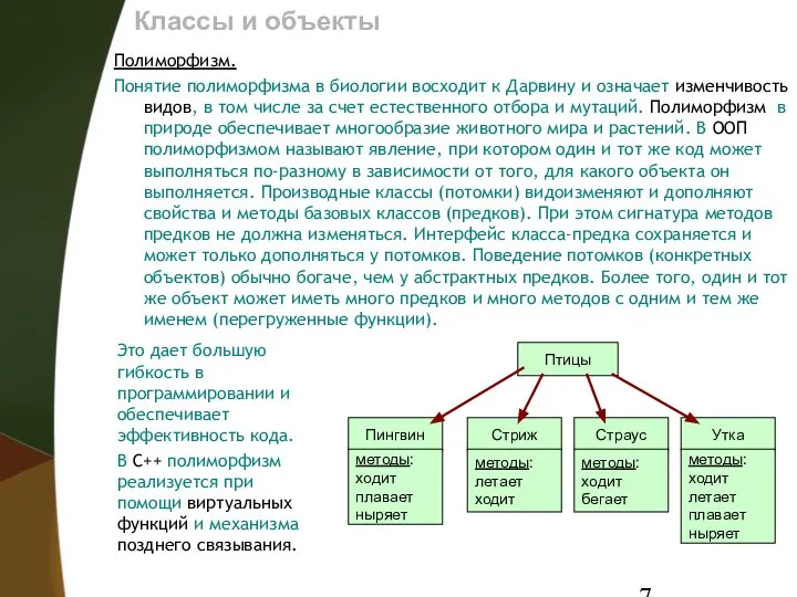 Классы и объекты Полиморфизм. Понятие полиморфизма в биологии восходит к Дарвину