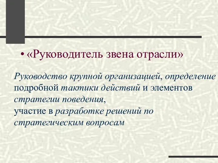 «Руководитель звена отрасли» Руководство крупной организацией, определение подробной тактики действий и