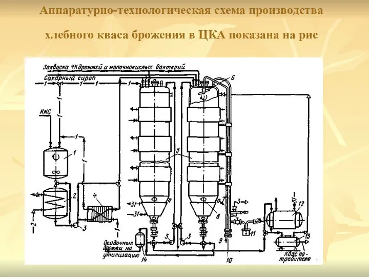 Аппаратурно-технологическая схема производства хлебного кваса брожения в ЦКА показана на рис