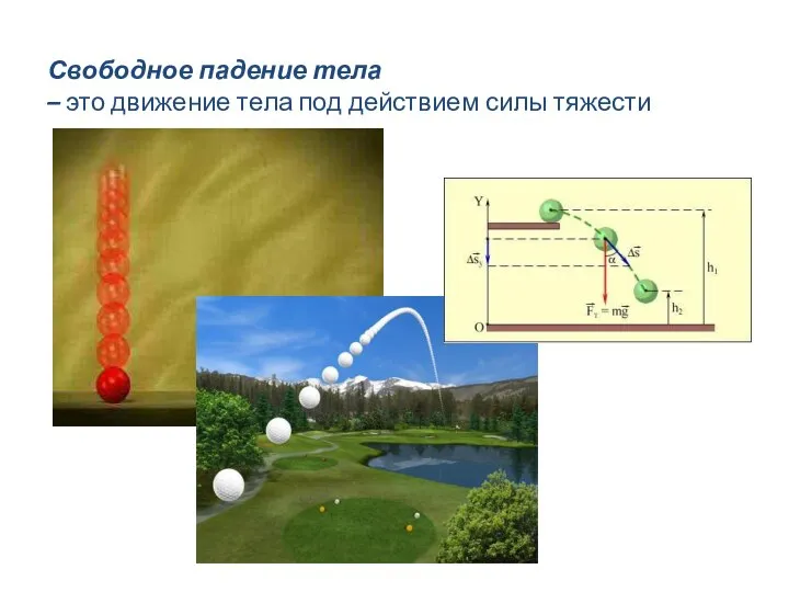 Свободное падение тела – это движение тела под действием силы тяжести