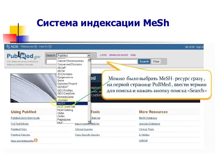 Система индексации MeSh