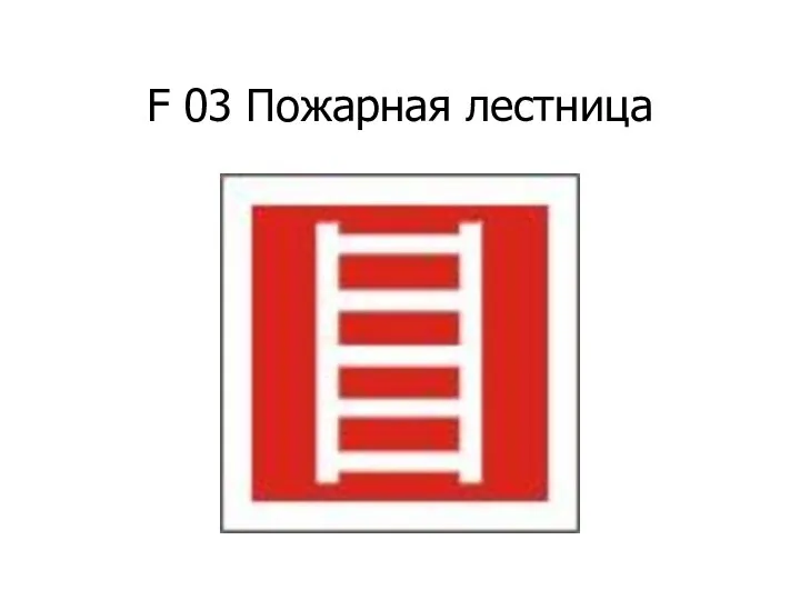 F 03 Пожарная лестница