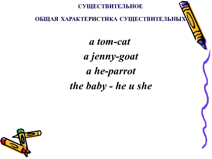 СУЩЕСТВИТЕЛЬНОЕ ОБЩАЯ ХАРАКТЕРИСТИКА СУЩЕСТВИТЕЛЬНЫХ a tom-cat a jenny-goat a he-parrot the baby - he и she