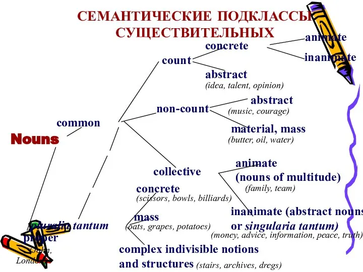 СЕМАНТИЧЕСКИЕ ПОДКЛАССЫ СУЩЕСТВИТЕЛЬНЫХ Nouns common proper (John, London) count non-count collective