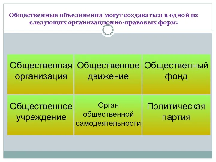 Общественные объединения могут создаваться в одной из следующих организационно-правовых форм: Общественная