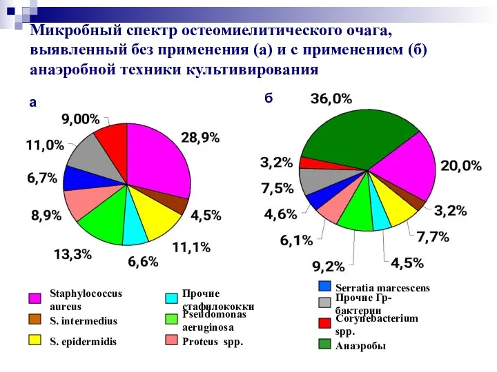 Микробный спектр остеомиелитического очага, выявленный без применения (а) и с применением