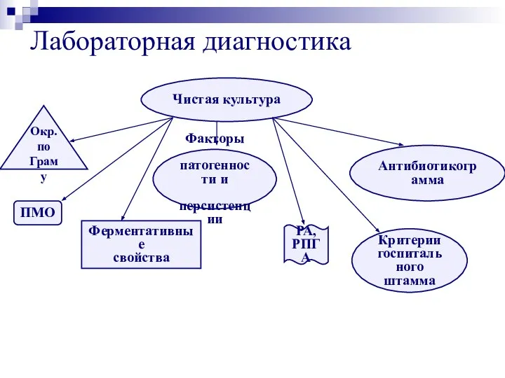 Лабораторная диагностика Чистая культура ПМО Окр. по Граму Ферментативные свойства Факторы