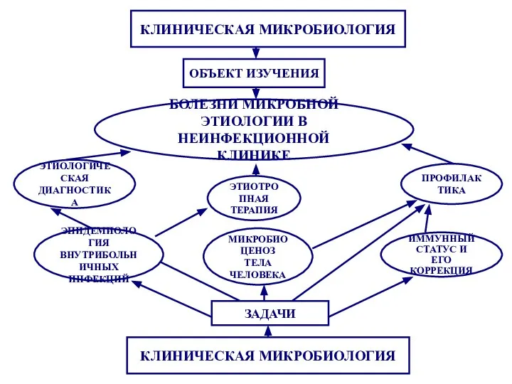 КЛИНИЧЕСКАЯ МИКРОБИОЛОГИЯ ОБЪЕКТ ИЗУЧЕНИЯ БОЛЕЗНИ МИКРОБНОЙ ЭТИОЛОГИИ В НЕИНФЕКЦИОННОЙ КЛИНИКЕ ЭТИОЛОГИЧЕСКАЯ