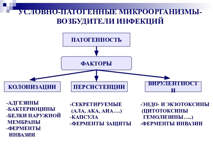 УСЛОВНО-ПАТОГЕННЫЕ МИКРООРГАНИЗМЫ- ВОЗБУДИТЕЛИ ИНФЕКЦИЙ ПАТОГЕННОСТЬ ФАКТОРЫ КОЛОНИЗАЦИИ ПЕРСИСТЕНЦИИ ВИРУЛЕНТНОСТИ -АДГЕЗИНЫ -БАКТЕРИОЦИНЫ