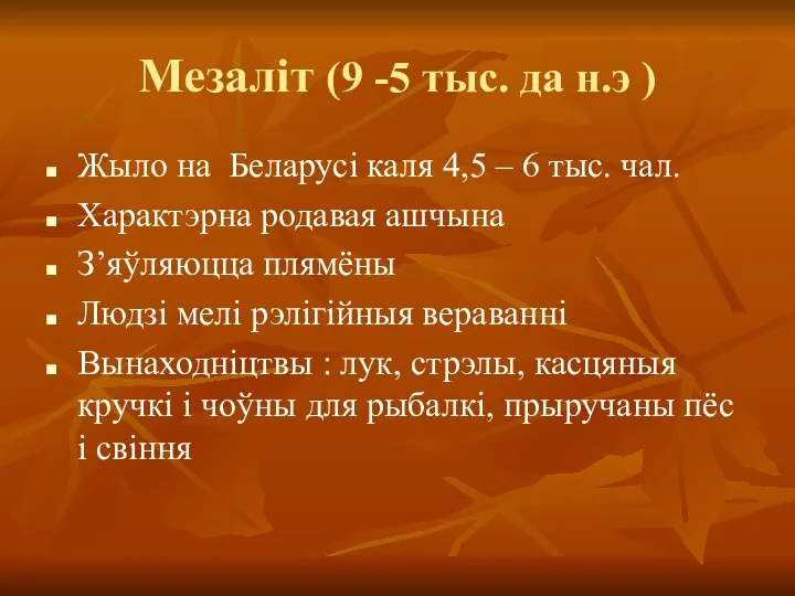 Мезаліт (9 -5 тыс. да н.э ) Жыло на Беларусі каля