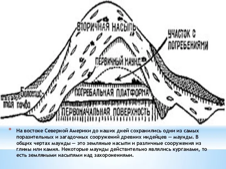 На востоке Северной Америки до наших дней сохранились одни из самых