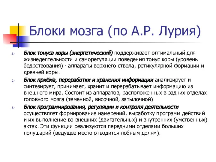 Блоки мозга (по А.Р. Лурия) Блок тонуса коры (энергетический) поддерживает оптимальный