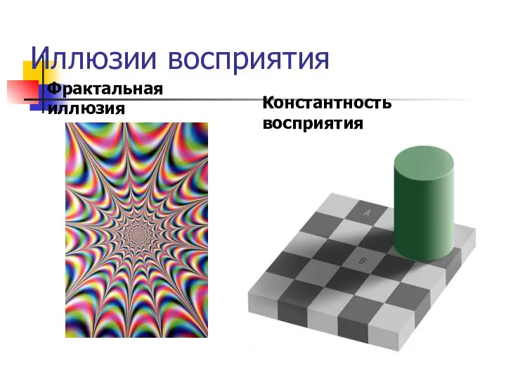Иллюзии восприятия Фрактальная иллюзия Константность восприятия