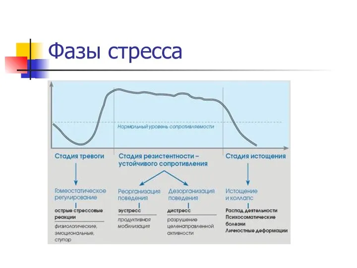 Фазы стресса