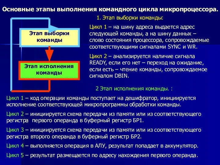 Основные этапы выполнения командного цикла микропроцессора. Этап выборки команды Этап исполнения