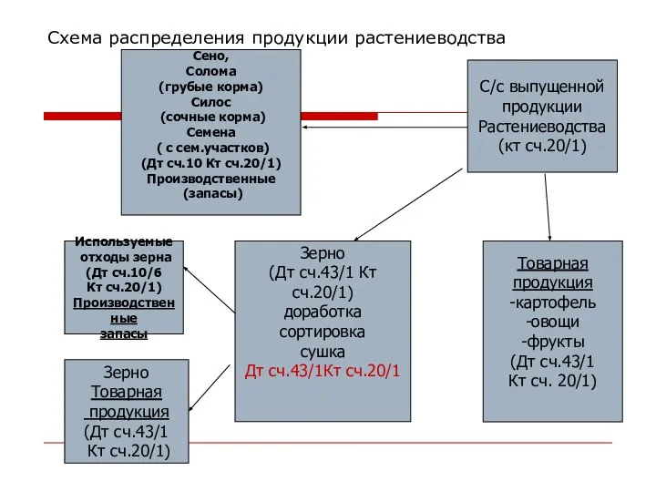 Схема распределения продукции растениеводства С/с выпущенной продукции Растениеводства (кт сч.20/1) Сено,