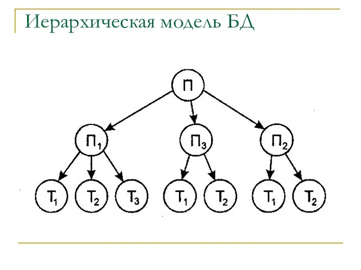 Иерархическая модель БД