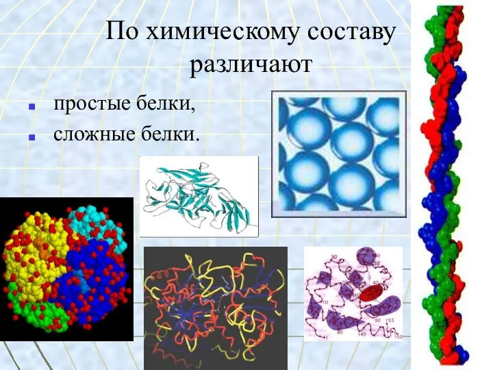 По химическому составу различают простые белки, сложные белки.