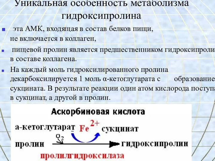 Уникальная особенность метаболизма гидроксипролина эта АМК, входящая в состав белков пищи,