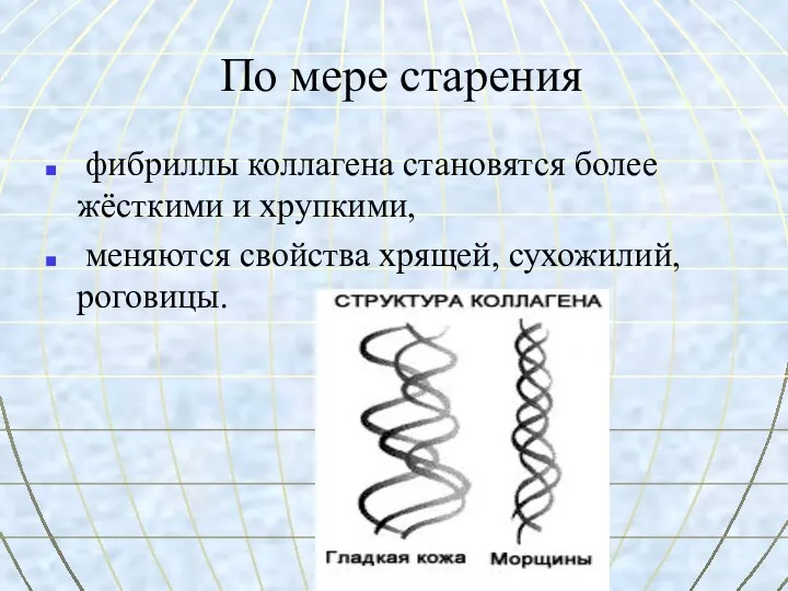 По мере старения фибриллы коллагена становятся более жёсткими и хрупкими, меняются свойства хрящей, сухожилий, роговицы.