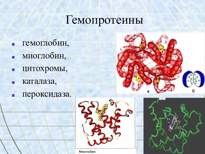 Гемопротеины гемоглобин, миоглобин, цитохромы, каталаза, пероксидаза.