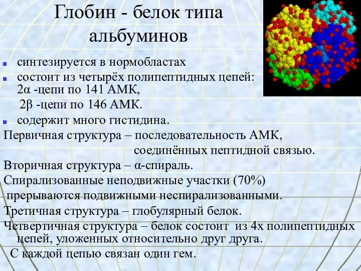 Глобин - белок типа альбуминов синтезируется в нормобластах состоит из четырёх