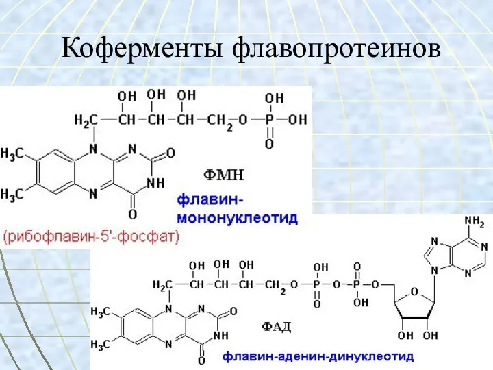 Коферменты флавопротеинов