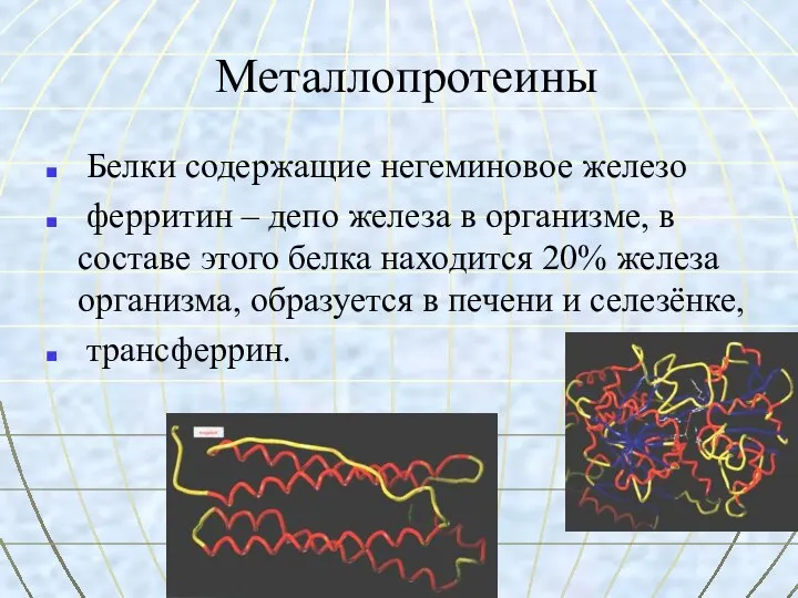 Металлопротеины Белки содержащие негеминовое железо ферритин – депо железа в организме,