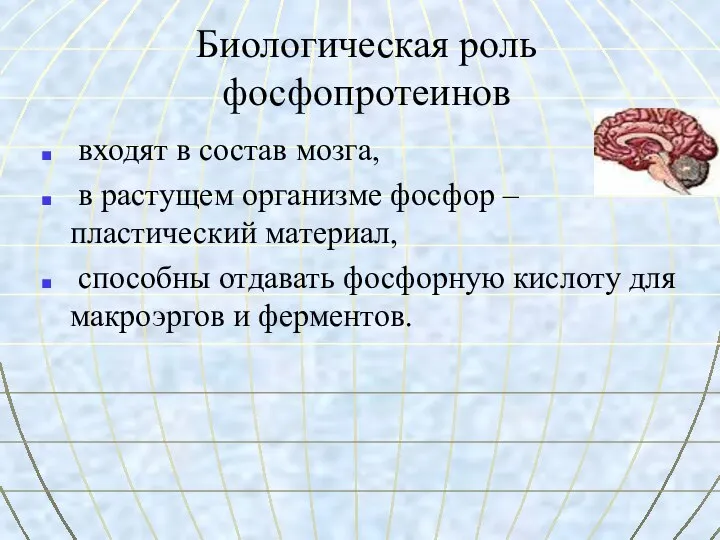 Биологическая роль фосфопротеинов входят в состав мозга, в растущем организме фосфор