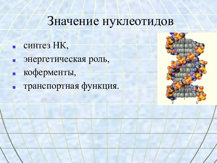 Значение нуклеотидов синтез НК, энергетическая роль, коферменты, транспортная функция.