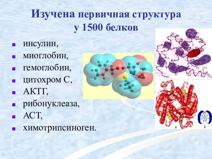 Изучена первичная структура у 1500 белков инсулин, миоглобин, гемоглобин, цитохром С, АКТГ, рибонуклеаза, АСТ, химотрипсиноген.