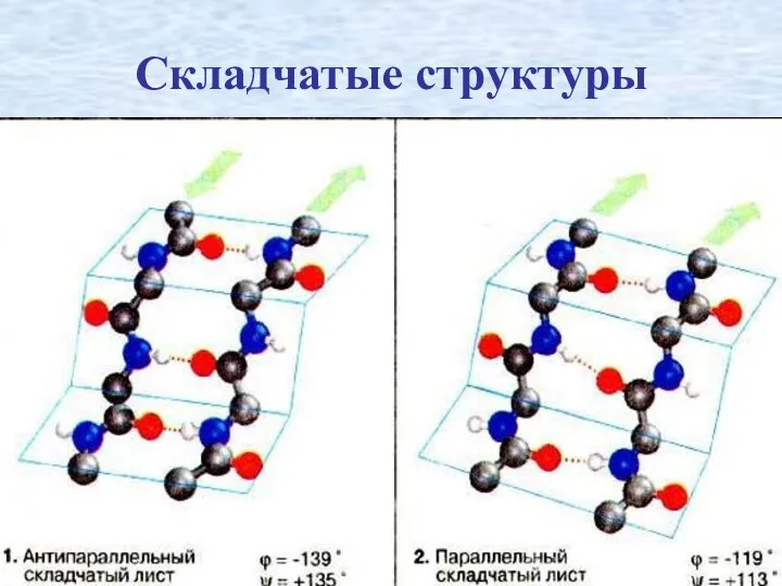 Складчатые структуры