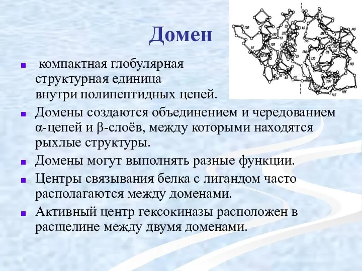 Домен компактная глобулярная структурная единица внутри полипептидных цепей. Домены создаются объединением