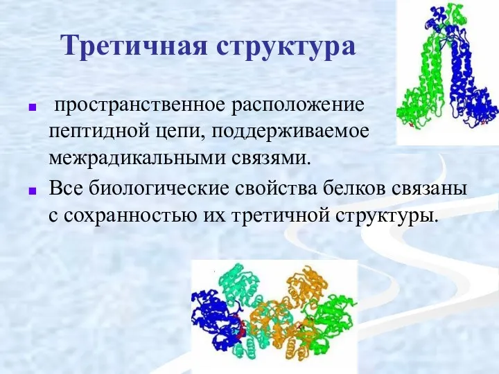 Третичная структура пространственное расположение пептидной цепи, поддерживаемое межрадикальными связями. Все биологические