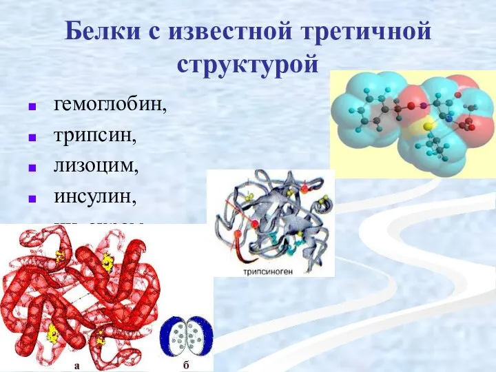 Белки с известной третичной структурой гемоглобин, трипсин, лизоцим, инсулин, цитохром.