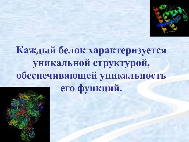 Каждый белок характеризуется уникальной структурой, обеспечивающей уникальность его функций.