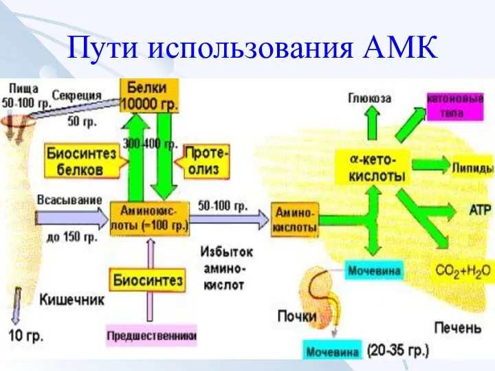 Пути использования АМК