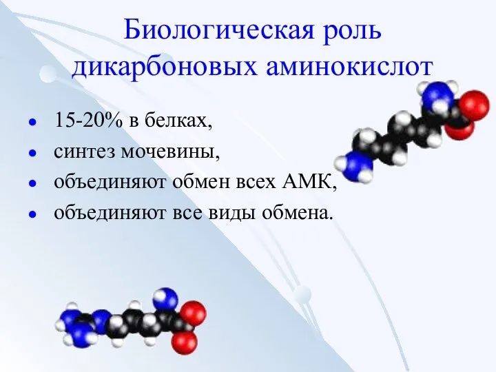 Биологическая роль дикарбоновых аминокислот 15-20% в белках, синтез мочевины, объединяют обмен