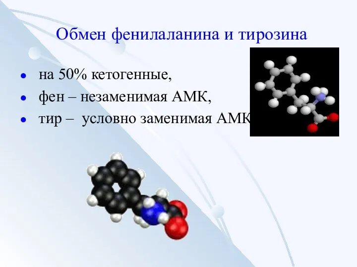 Обмен фенилаланина и тирозина на 50% кетогенные, фен – незаменимая АМК, тир – условно заменимая АМК.